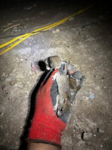 WhatsApp Image 2026-03-23 at 12.29.08 PM