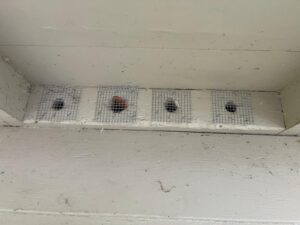 WhatsApp Image 2026-03-23 at 12.33.29 PM