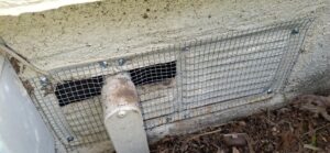 WhatsApp Image 2026-03-23 at 12.33.38 PM