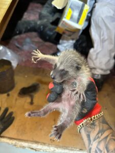 WhatsApp Image 2026-03-23 at 12.33.40 PM (1)